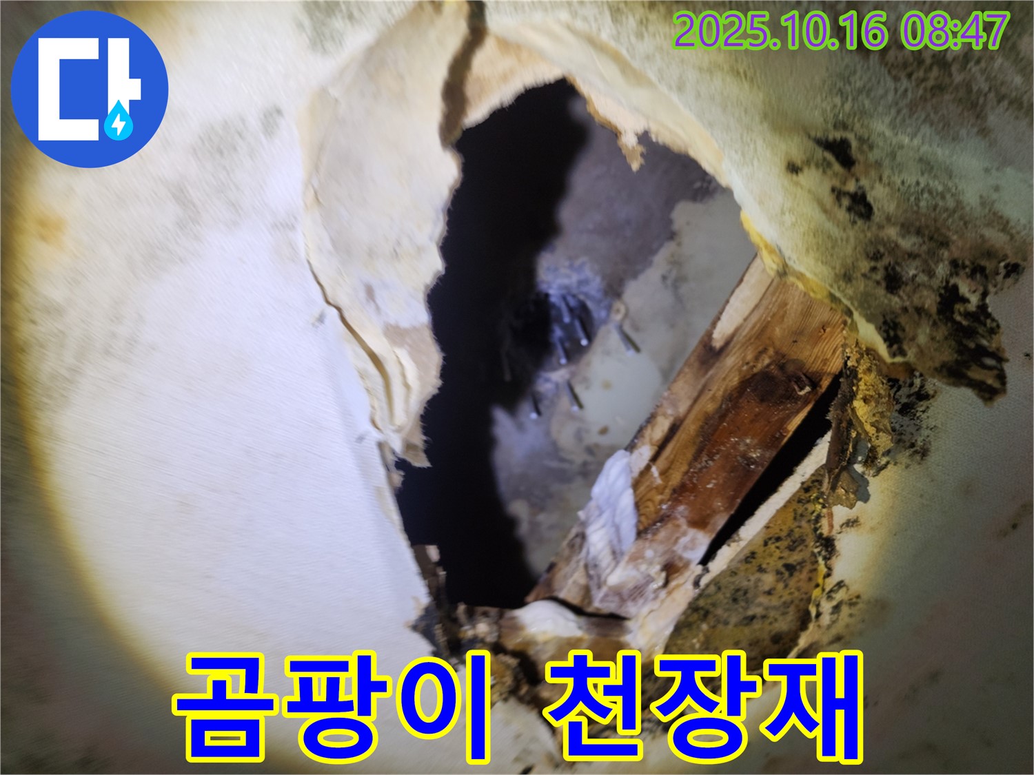 양주 남면 경신리 누수 - 천장 속 곰팡이와 무너진 천장재 - 붕괴 위험, 긴급 보수가 필요합니다