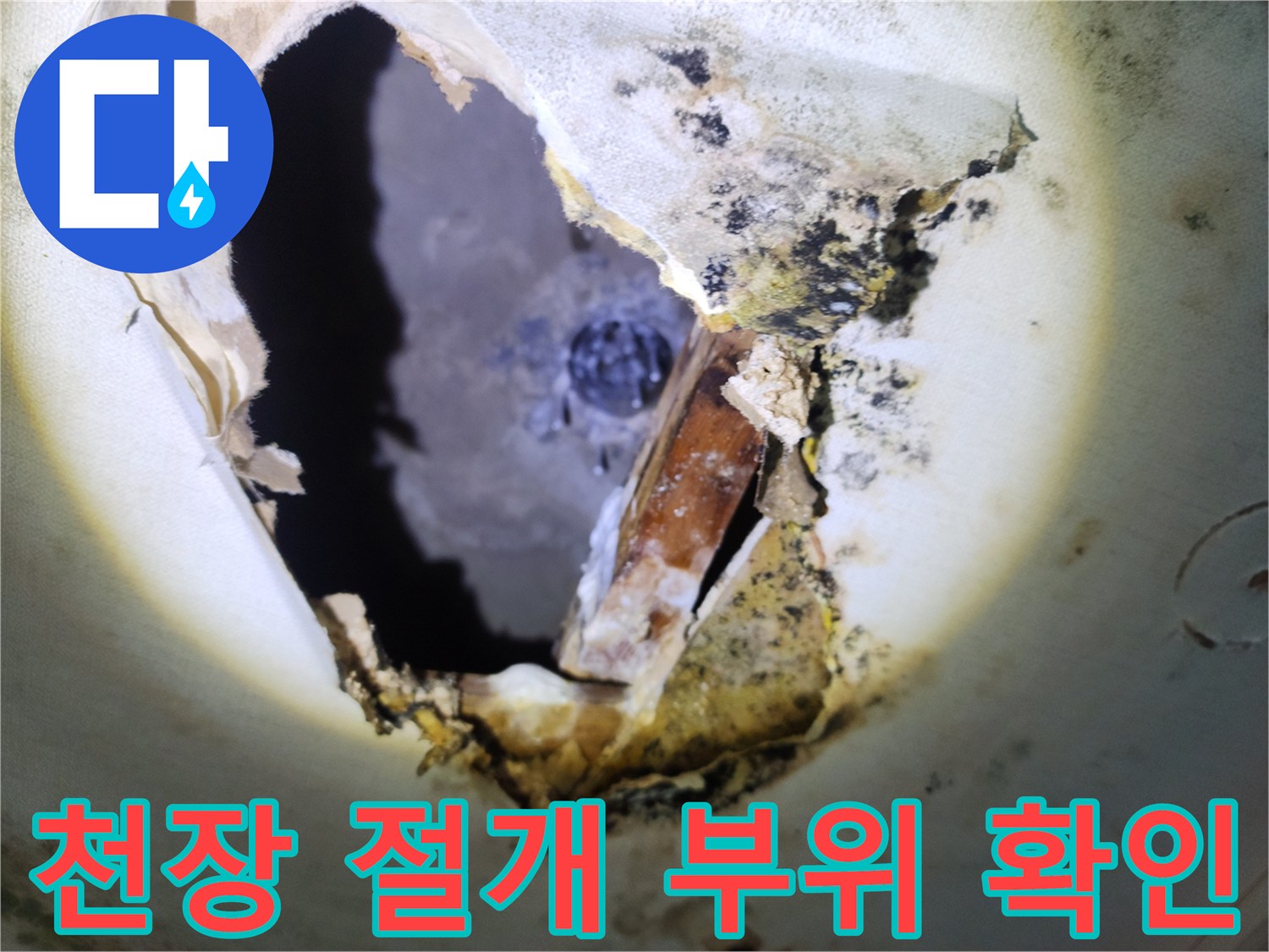 양주 주방 천장 내부-절개된 부위의 곰팡이와 배관 상태를 보여주는 사진입니다.