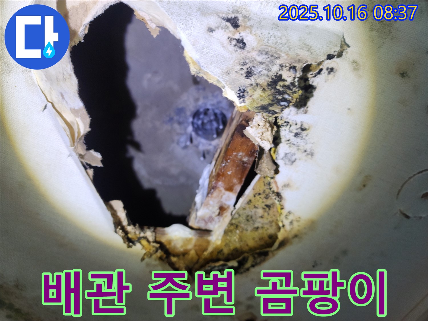 양주시 남면 경신리 주택 천장 - 곰팡이 천장 속 배관 주변 곰팡이 - 누수 원인은 무엇일까요?