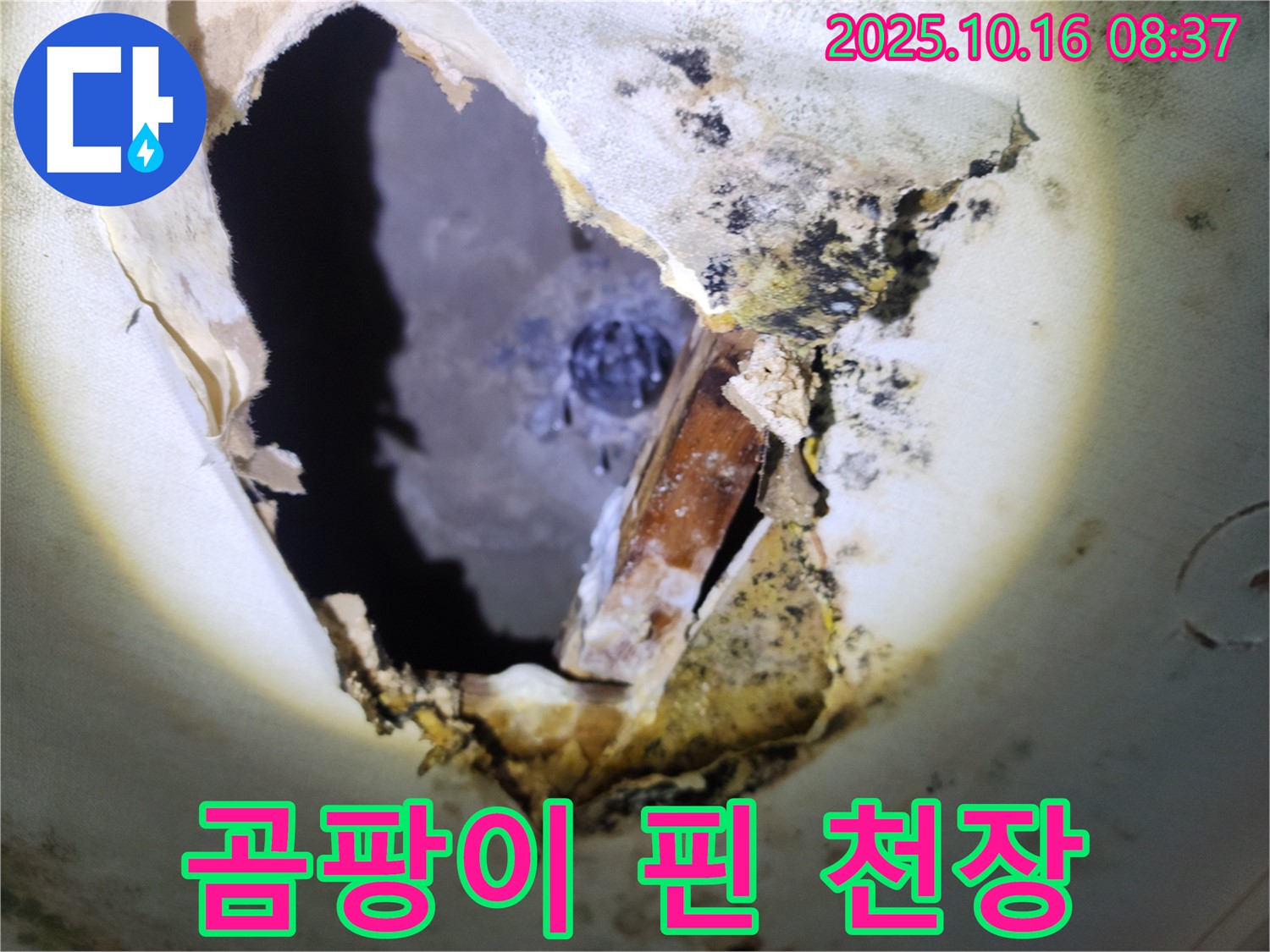 양주시 남면 경신리 주택 천장 - 곰팡이가 심하게 핀 천장 - 누수 해결이 시급합니다.