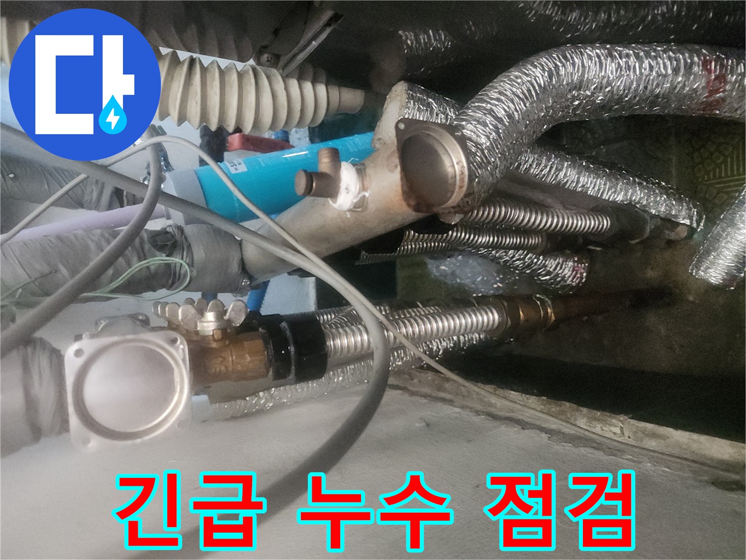 송파구 거여동 이화빌라 누수 현장 - 긴급 출동하여 누수 점검 중