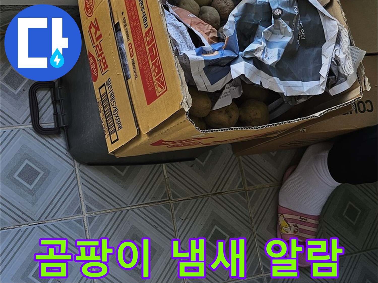 신월1동 엘리시안 누수 현장 - 감자 박스 주변에서 곰팡이 냄새가 난다면 누수 알람이 울린 것입니다 - 즉시 점검하세요.
