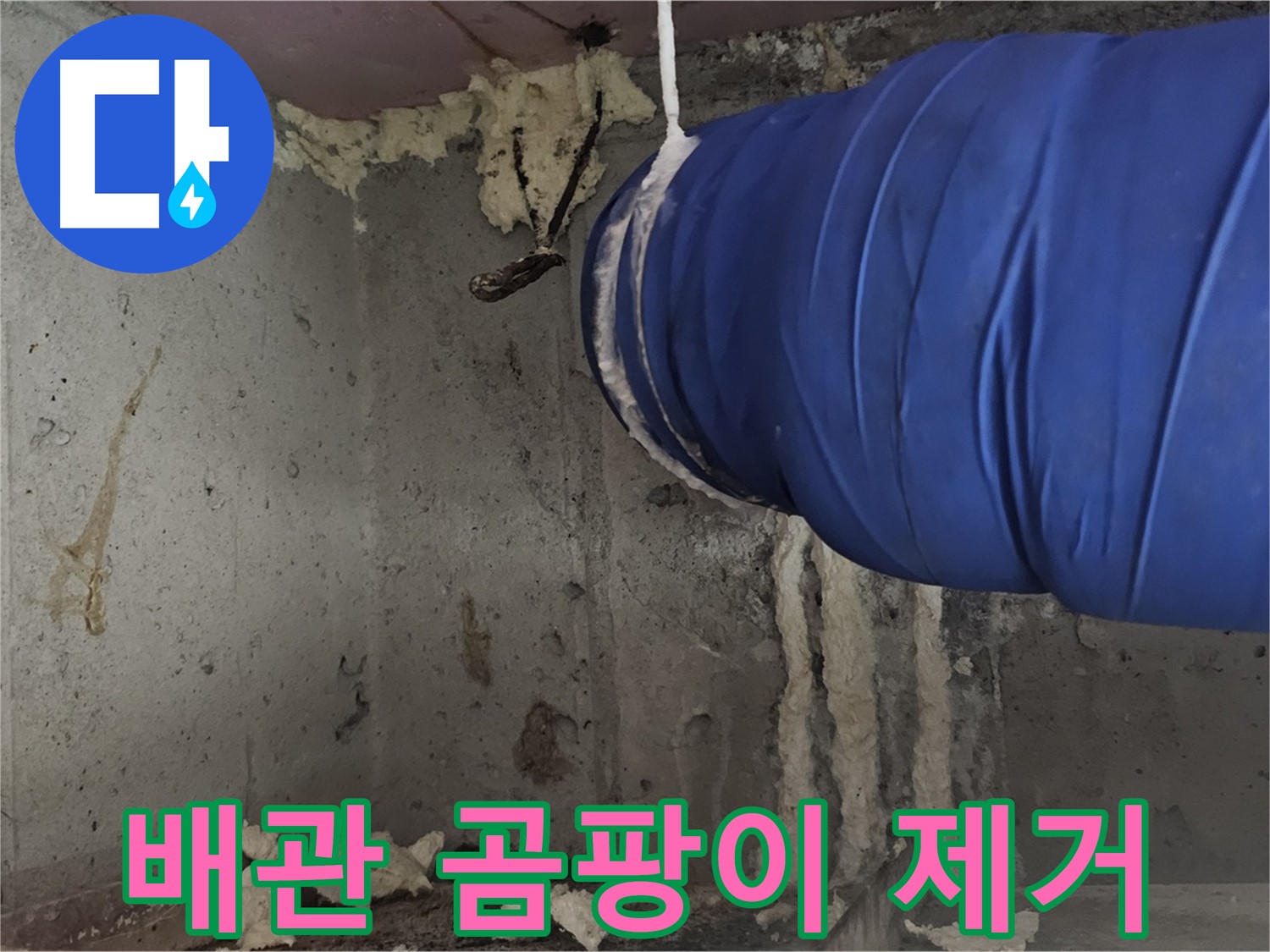 신월동 누수 - 배관 폼 충진으로 곰팡이 걱정 이제 그만!