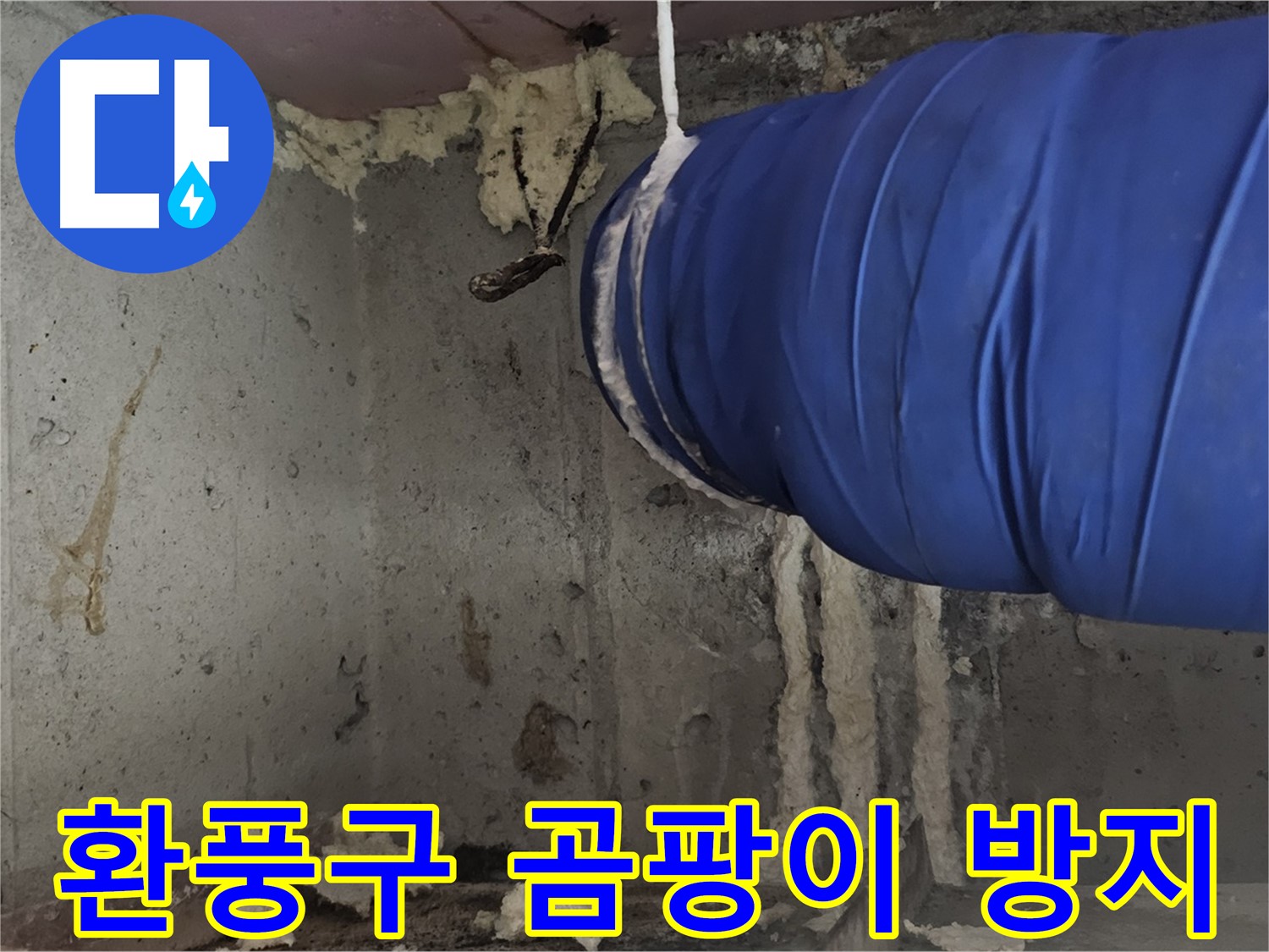 신월동 누수 - 환풍구 폼 충진으로 곰팡이 방지 효과