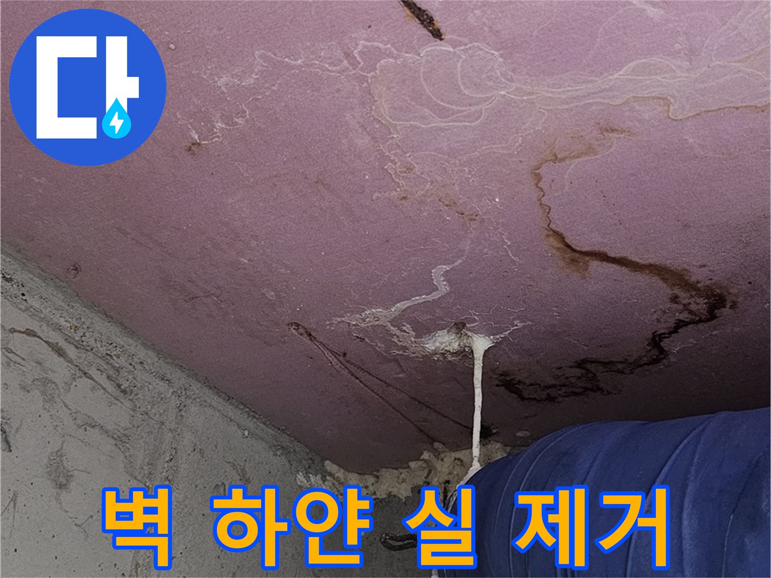 신월동 양천구 누수 - 벽 하얀 실 - 곰팡이 완벽 제거