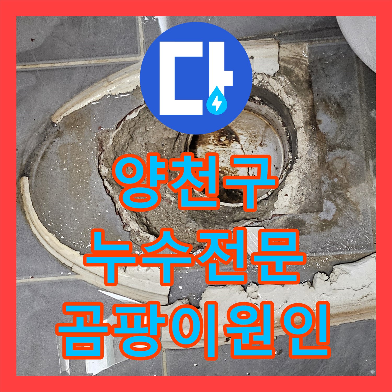 양천, 누수전문업체, 베란다 곰팡이, 누수부터 의심