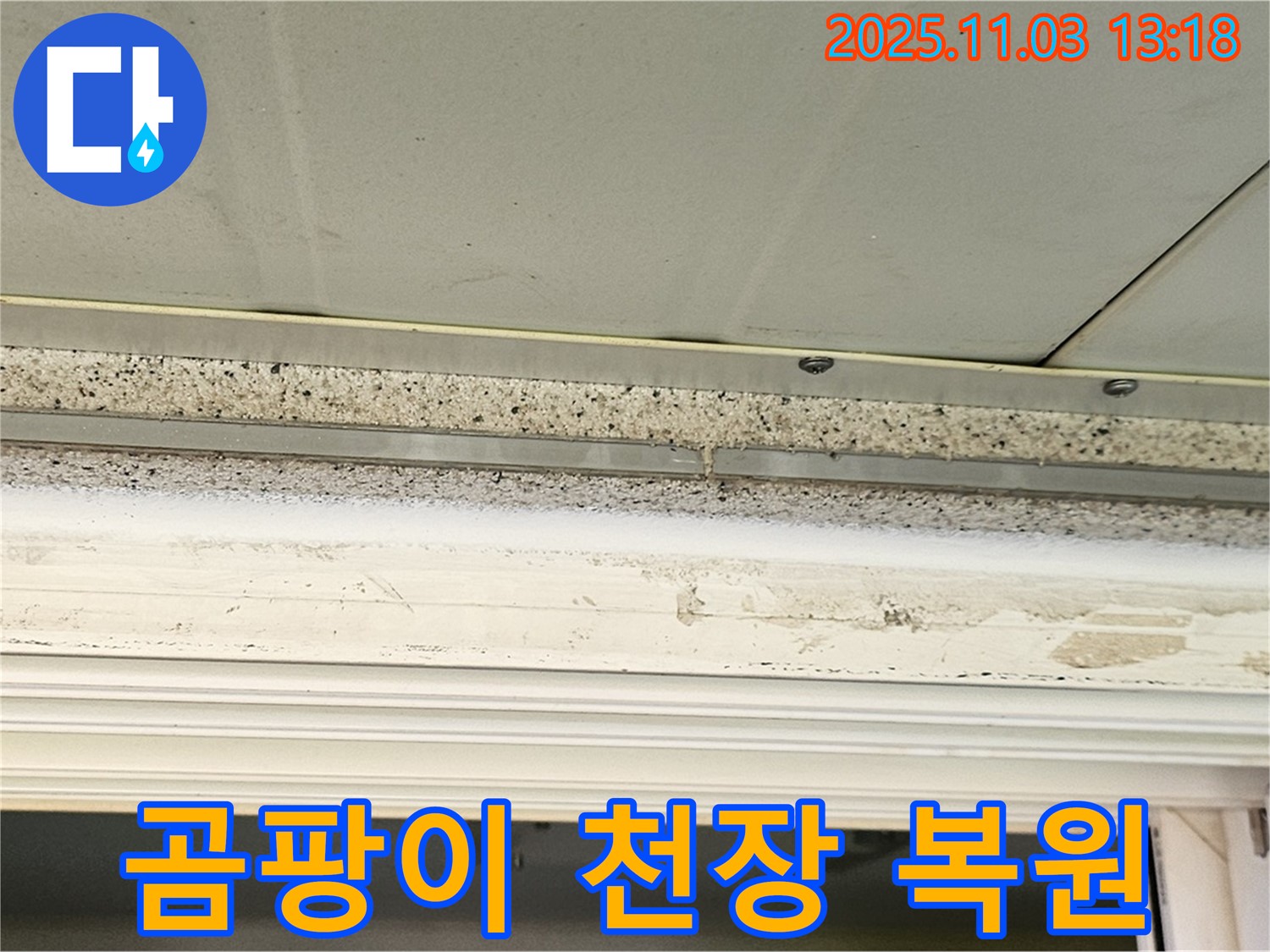 양천구 누수 - 곰팡이 핀 천장, 완벽한 복원으로 쾌적한 환경을 되찾으세요!