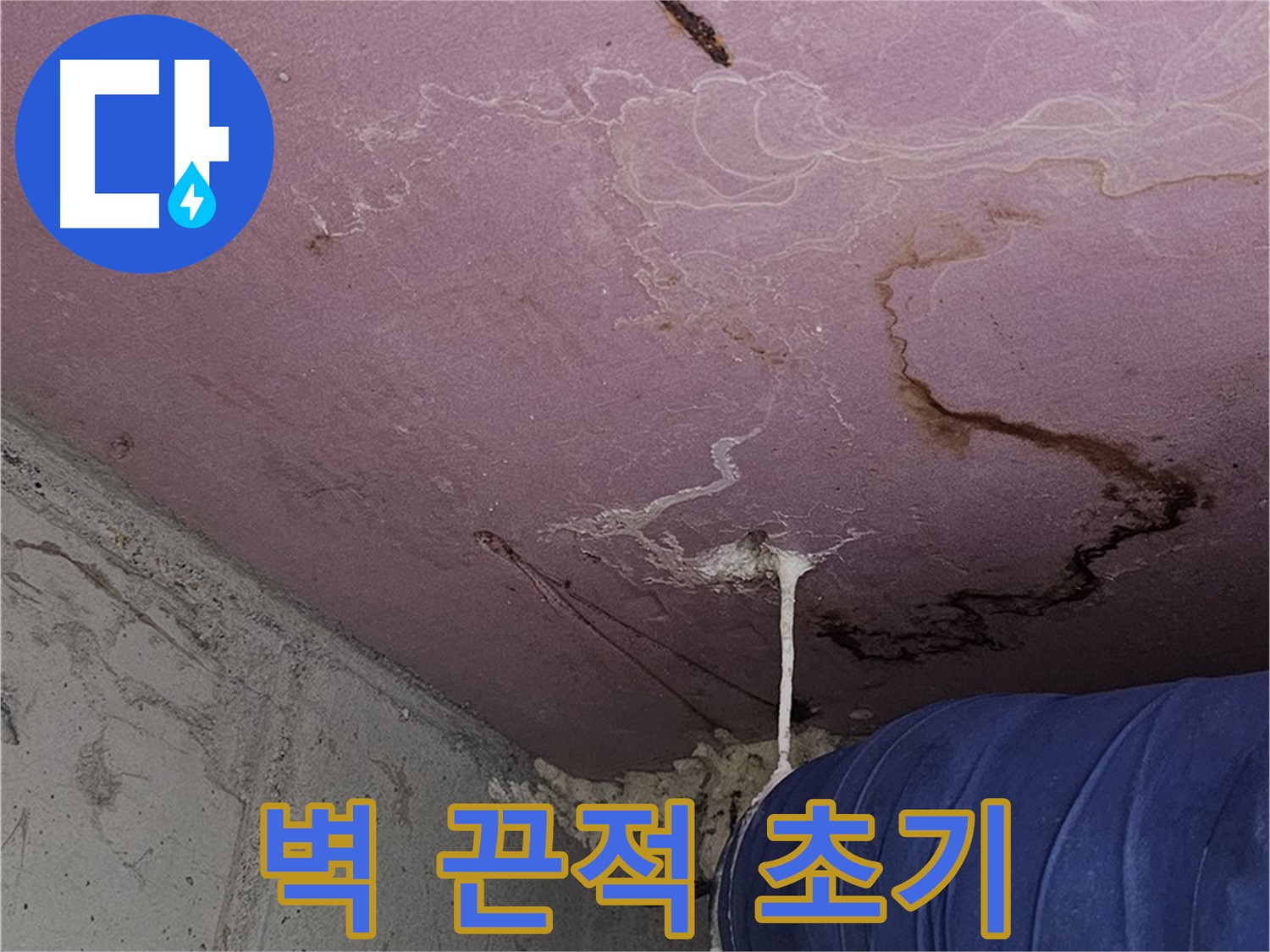 양천구 신월동 누수 - 벽 끈적임 - 초기 증상