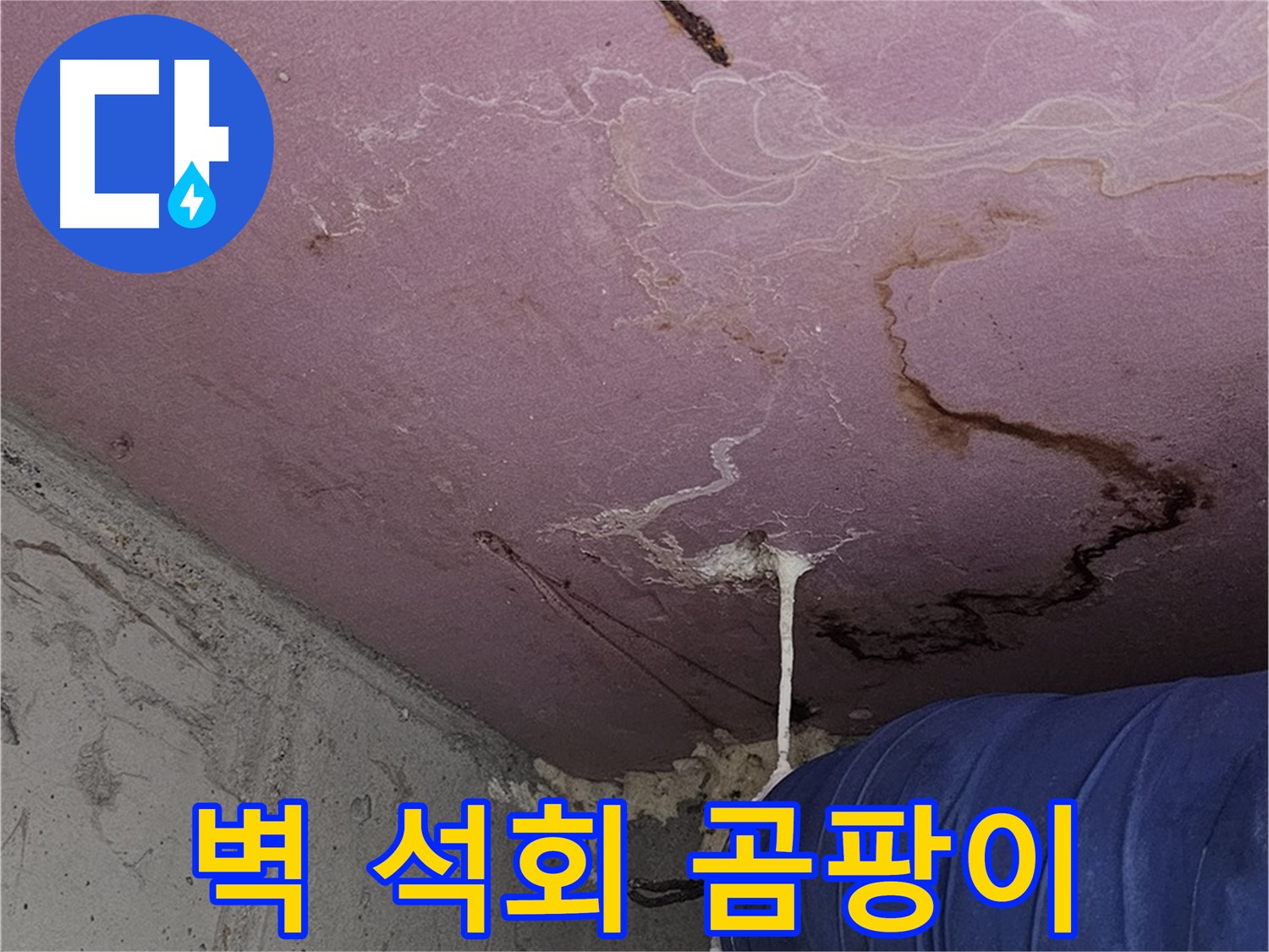 양천구 신월동 누수 - 벽 석회수, 곰팡이 - 쾌적한 환경