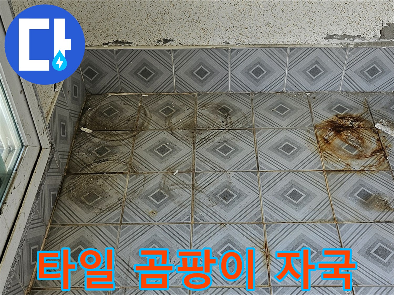 양천구 신월동 누수 - 타일 위 곰팡이 자국 긴급 출동