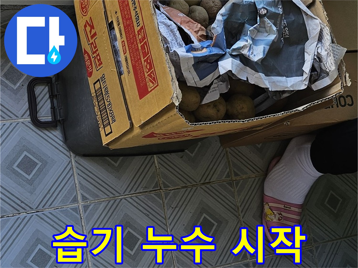 양천구 신월동 누수 현장, 감자 박스 주변 습기 - 누수의 시작을 알리는 신호일 수 있습니다.