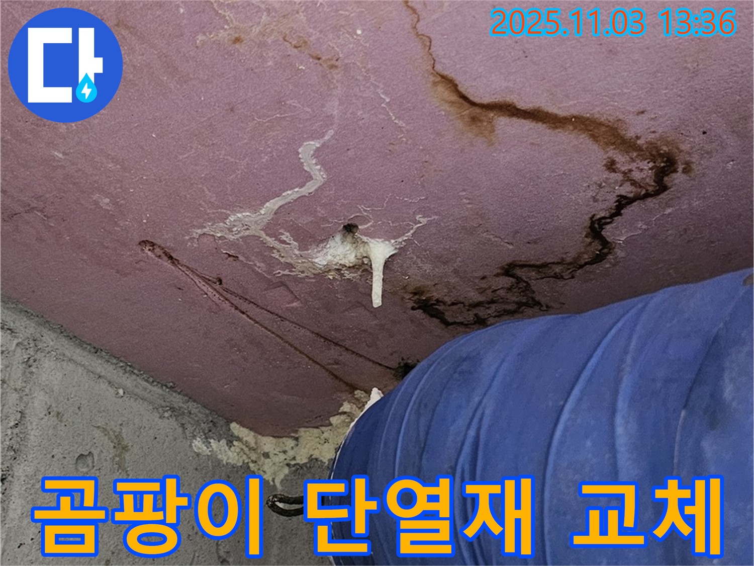 양천구 신월동 누수 현장 - 곰팡이 핀 단열재 교체 및 누수 원인 제거, 건강하고 쾌적한 환경 조성