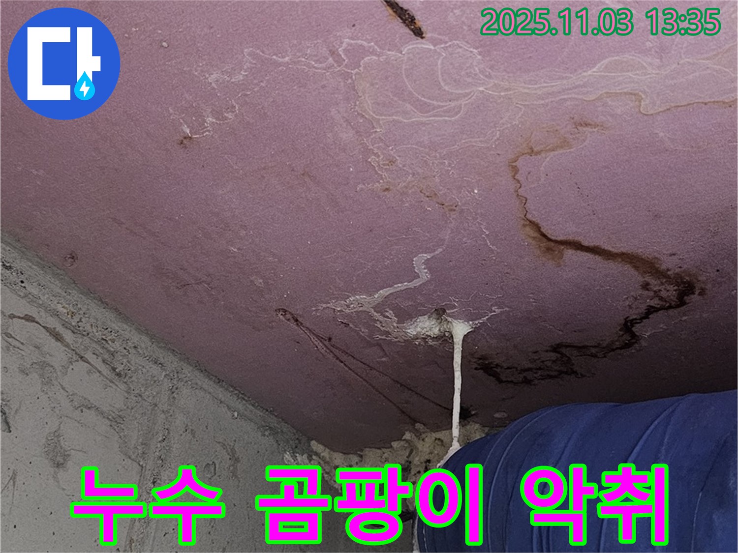 양천구 신월동 누수 현장 - 누수 악취는 곰팡이 번식의 경고입니다 - 즉시 전문가의 도움을 받으세요.