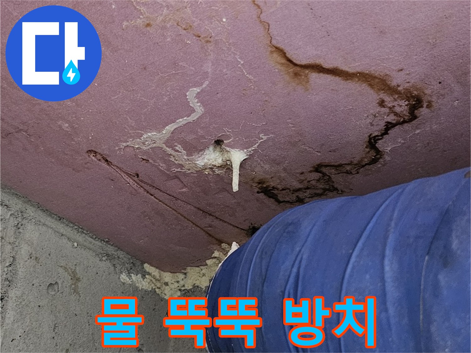 엘리시안 A동 물 뚝뚝 - 문제 커지기 전에!