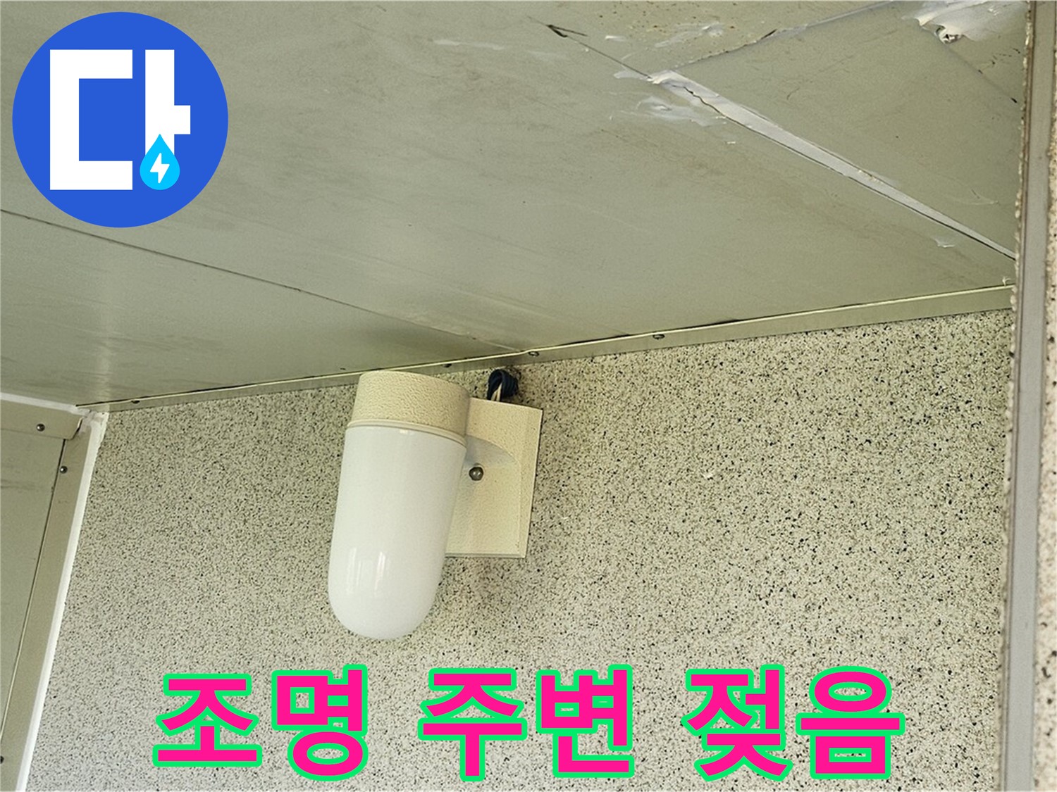 조명 주변 젖음 - 천장 조명 주변이 젖어 있는 모습입니다 - 누수 가능성을 보여줍니다.