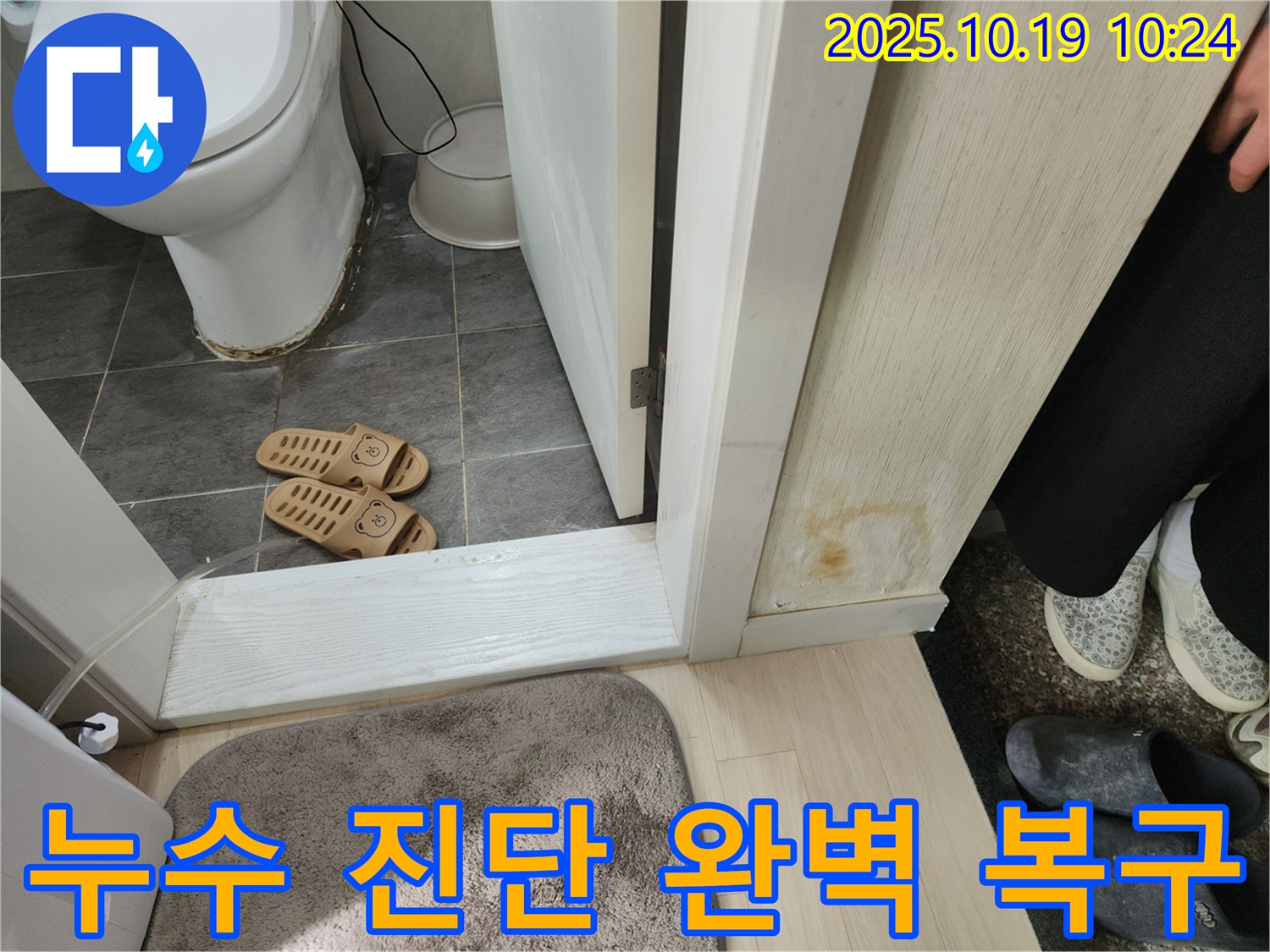 누수 발생 현장 - 정확한 진단부터 완벽한 복구까지 책임지는 누수 전문가의 작업