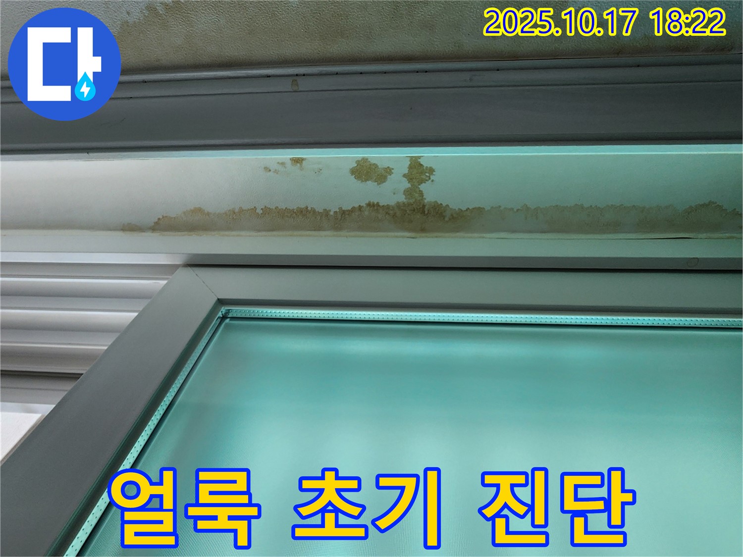 양주시 남면 상수리 누수 현장 - 천장 얼룩 초기 상태를 확인하고 진단하고 있습니다.