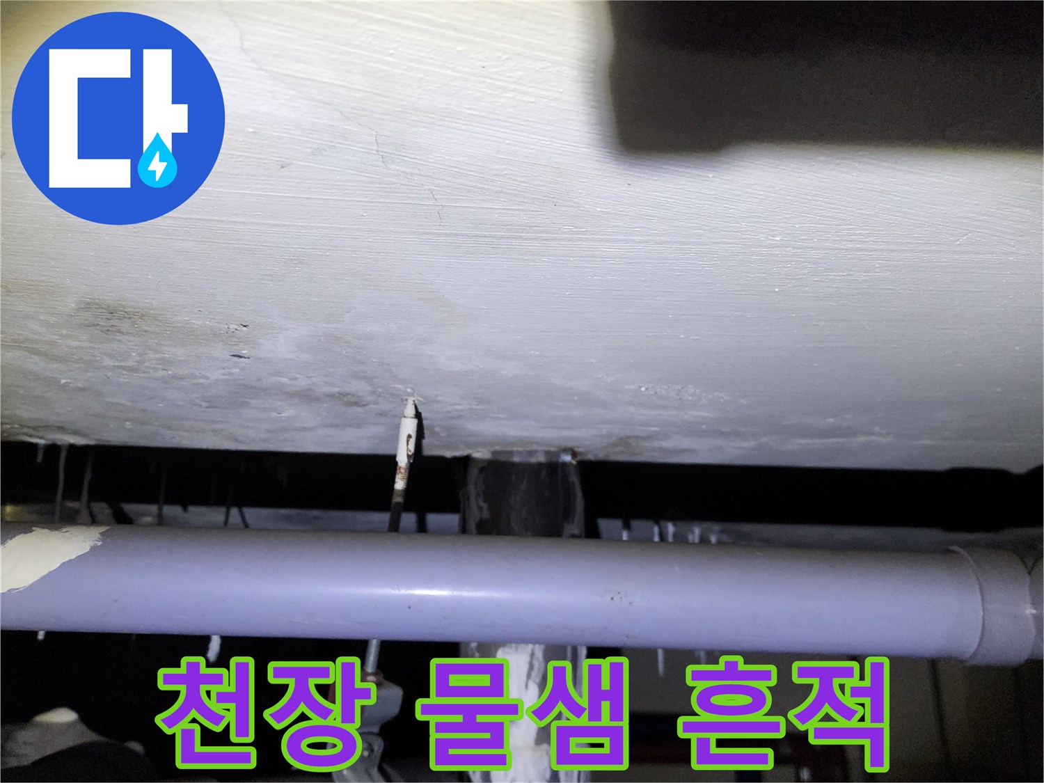 양주시 석현리 아래층 천장의 누수 및 백화 부위