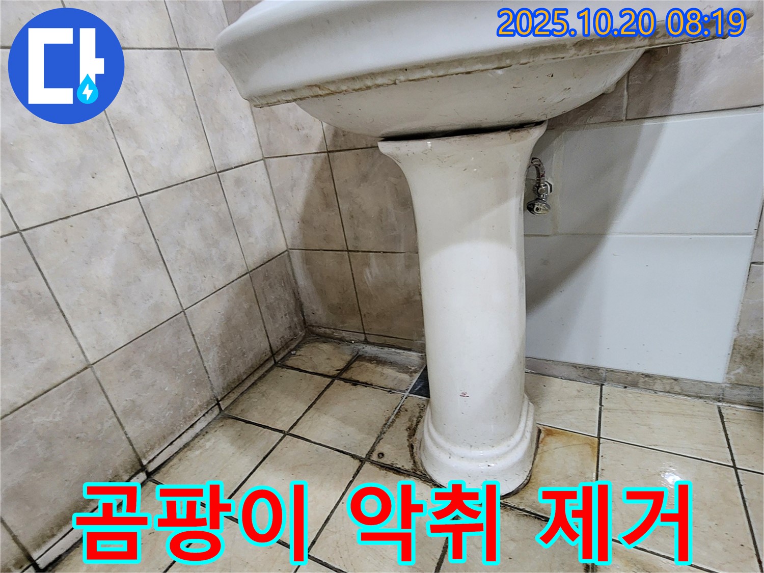 양주시 장흥면 석현리 세면대 곰팡이 악취 - 세면대 주변의 곰팡이와 악취 누수를 완벽하게 제거했습니다.