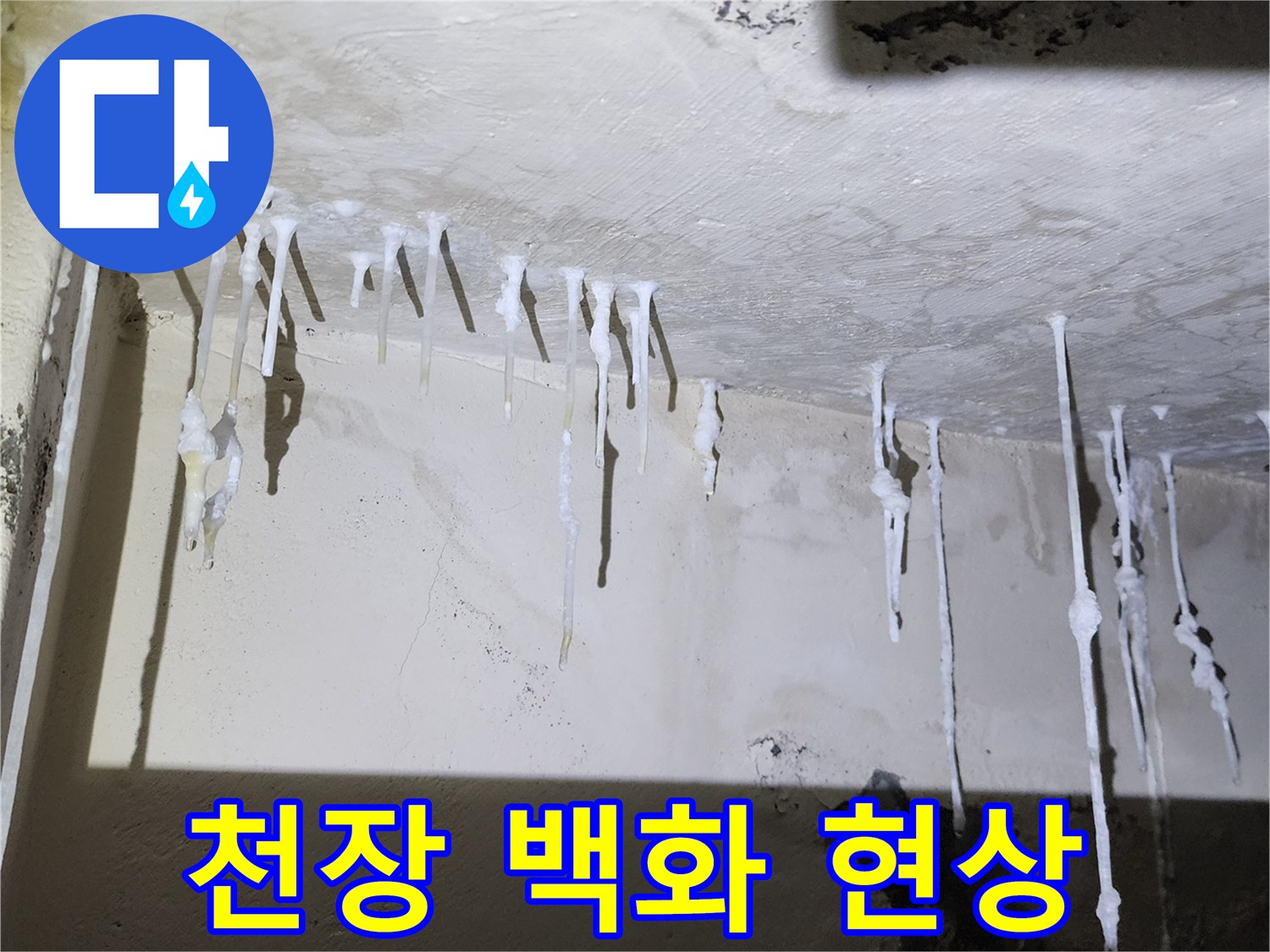 천장에서 아래로 흘러내린 하얀 석회질 물질