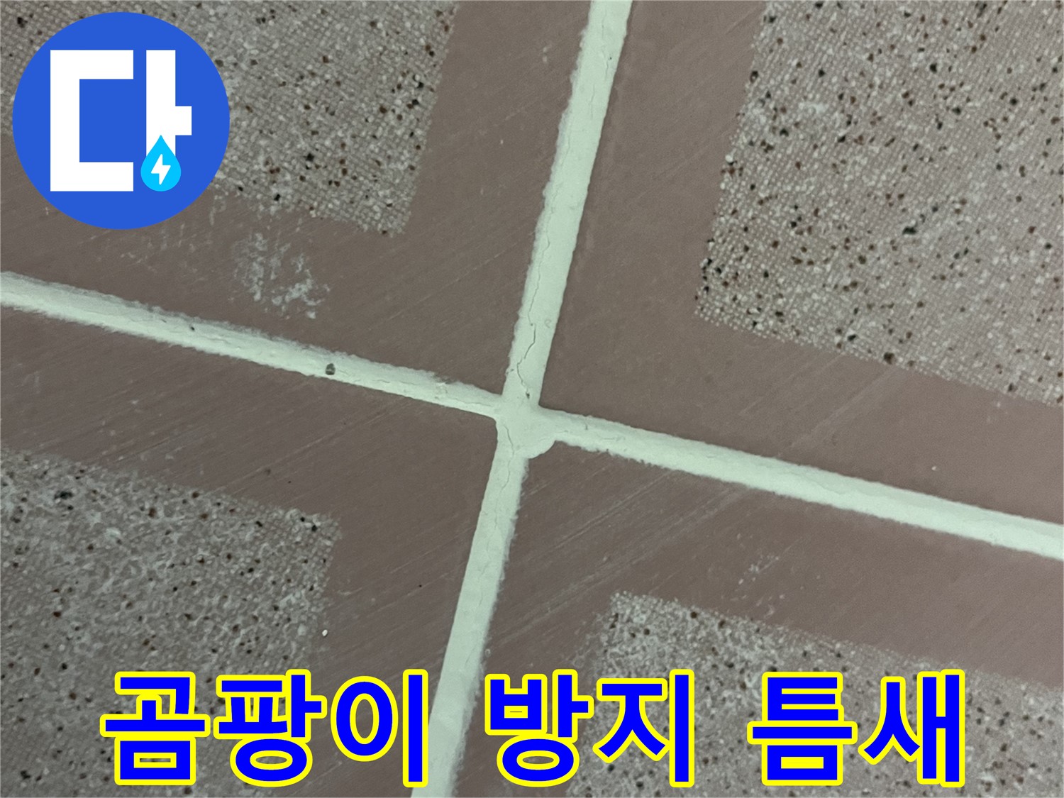 금천구 독산동 형제맨션빌 - 곰팡이 방지 줄눈으로 타일 틈새를 꼼꼼하게 메워 곰팡이와 누수를 동시에 차단합니다.