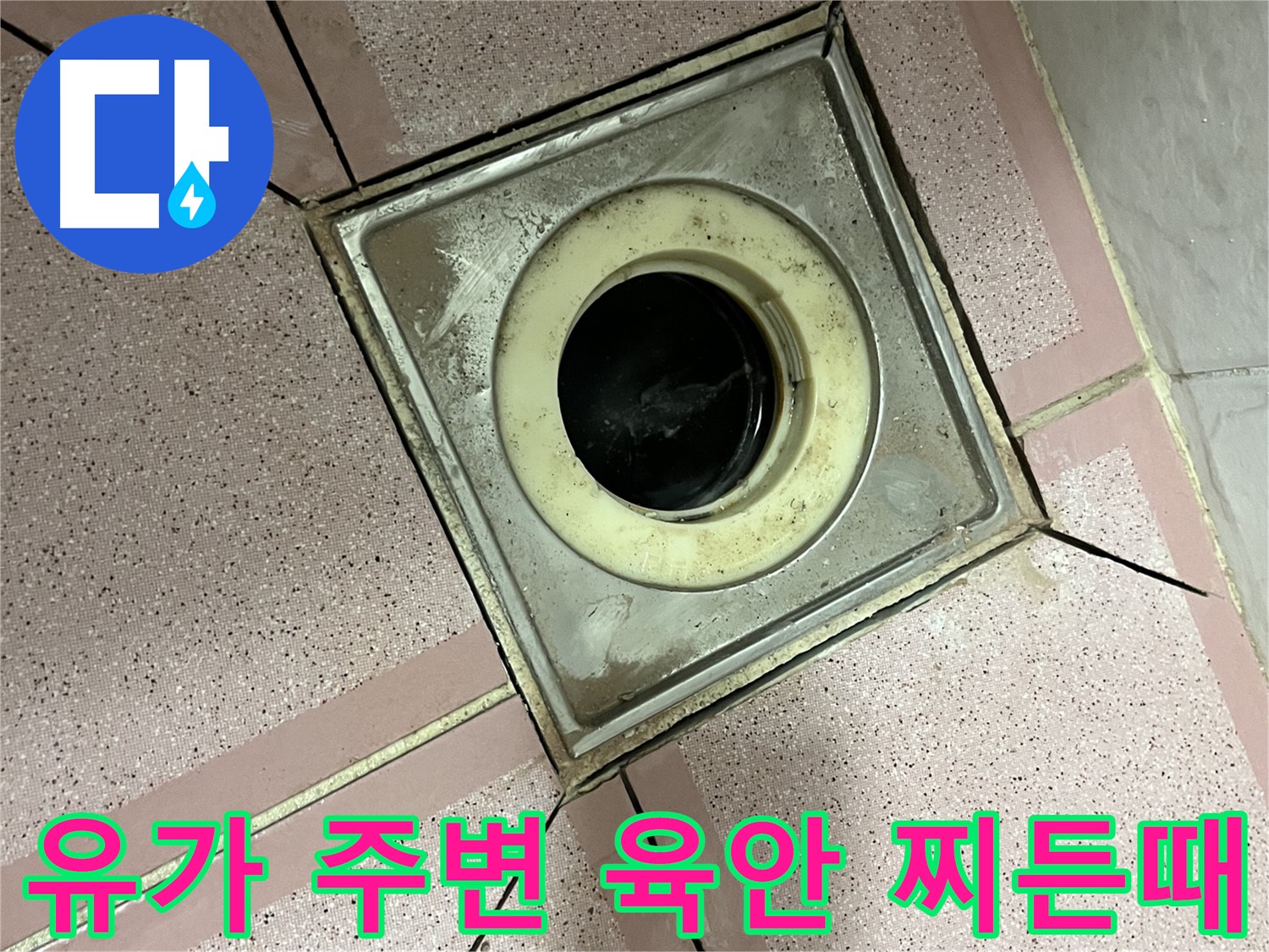 금천구 독산동 형제빌 유가 주변 육안 및 찌든때 점검 - 종합 누수 진단