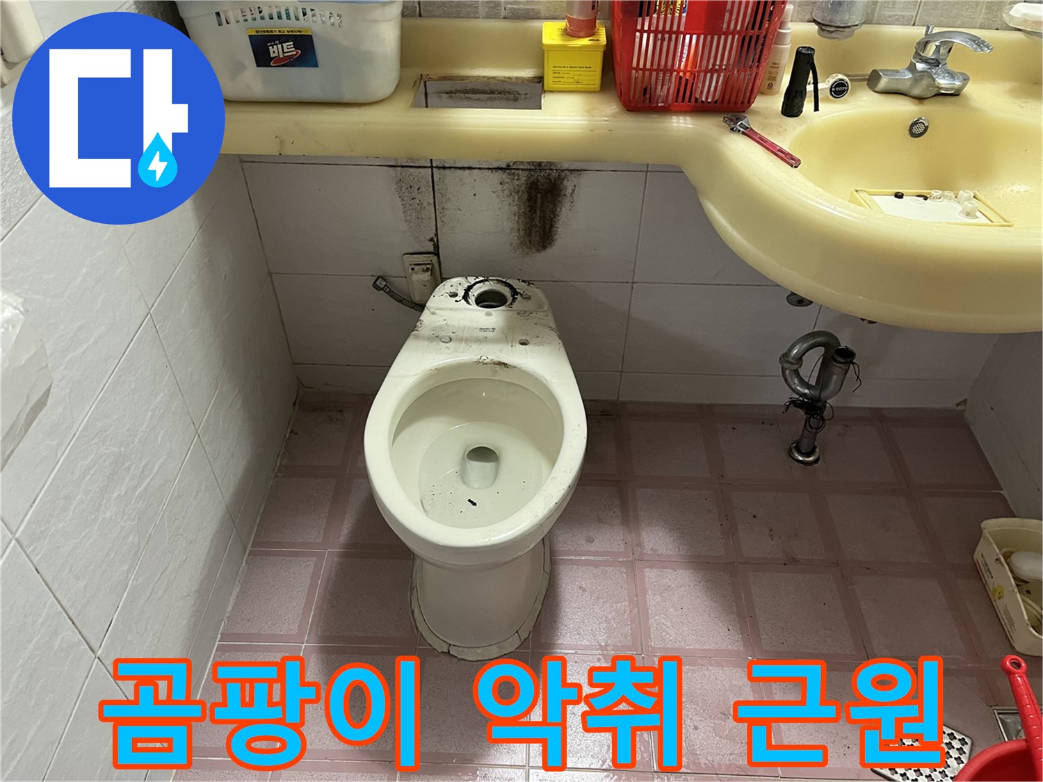 독산동 형제맨션빌 변기 누수 - 곰팡이와 악취