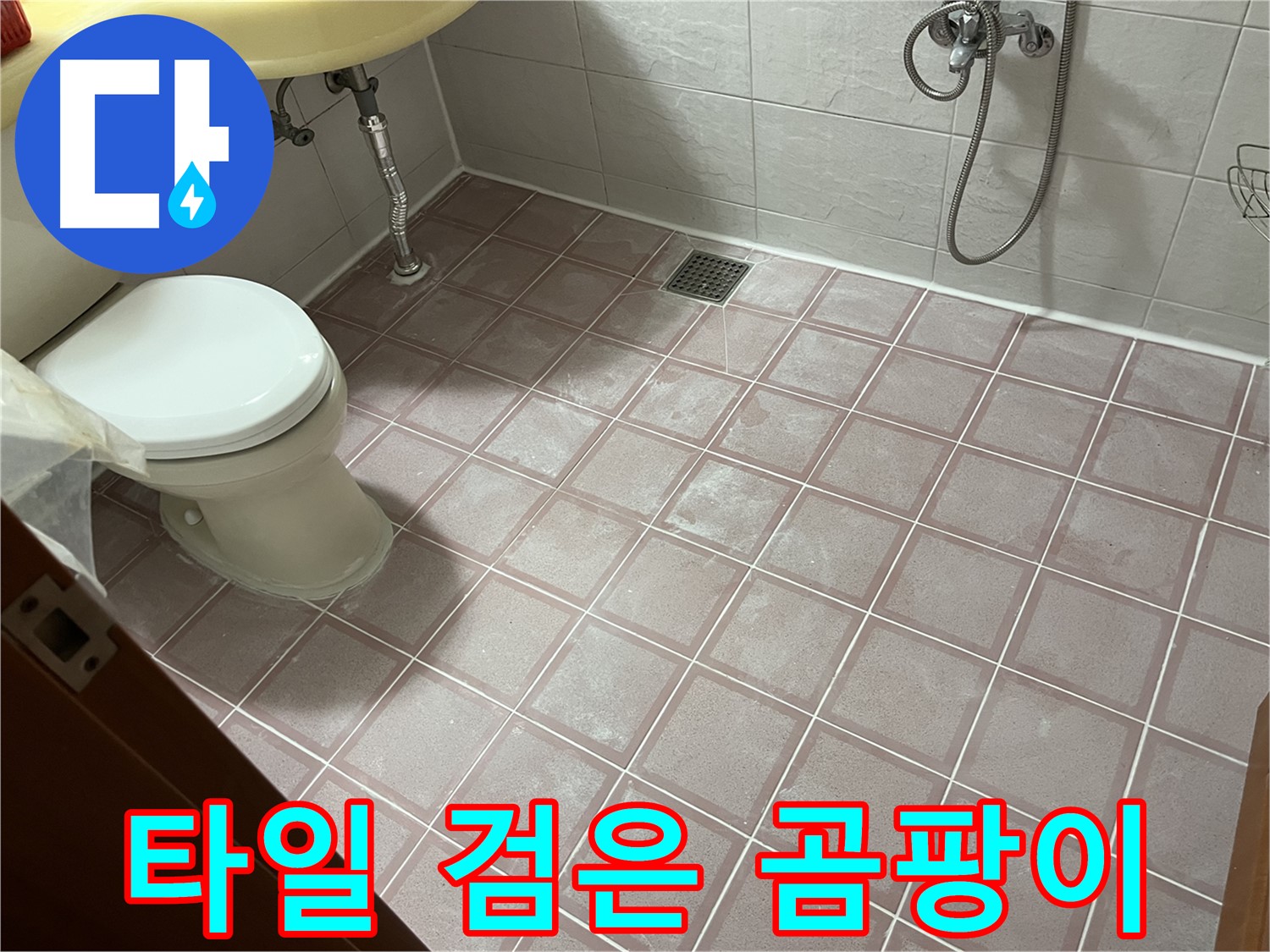 독산동 형제빌 - 타일 검은 곰팡이 - 곰팡이 제거 시급