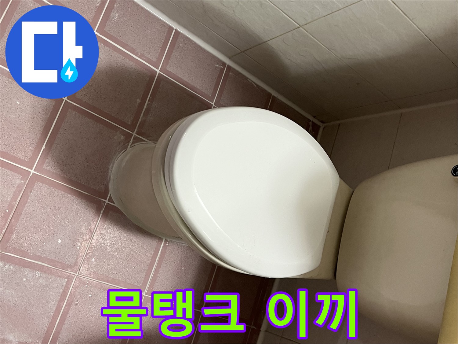 변기 누수 - 독산동 형제맨션빌 변기 물탱크에 이끼가 낀 누수