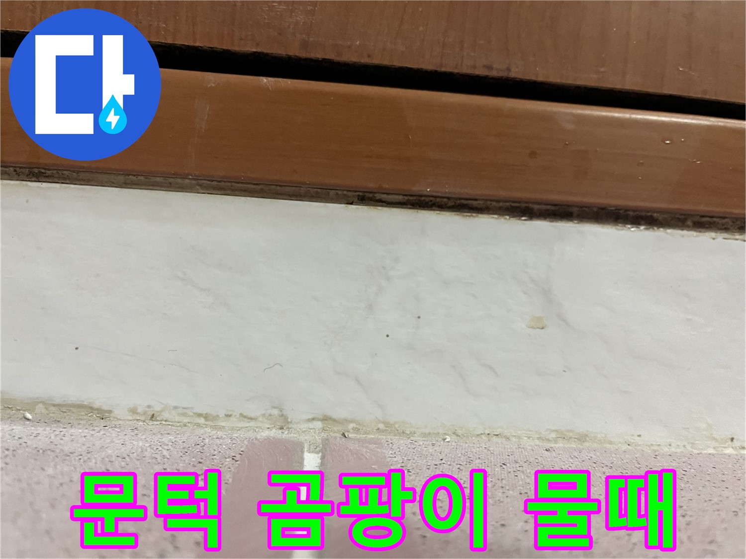 형제맨션빌 누수 - 문턱 아래 타일 틈새 곰팡이와 물때 발견