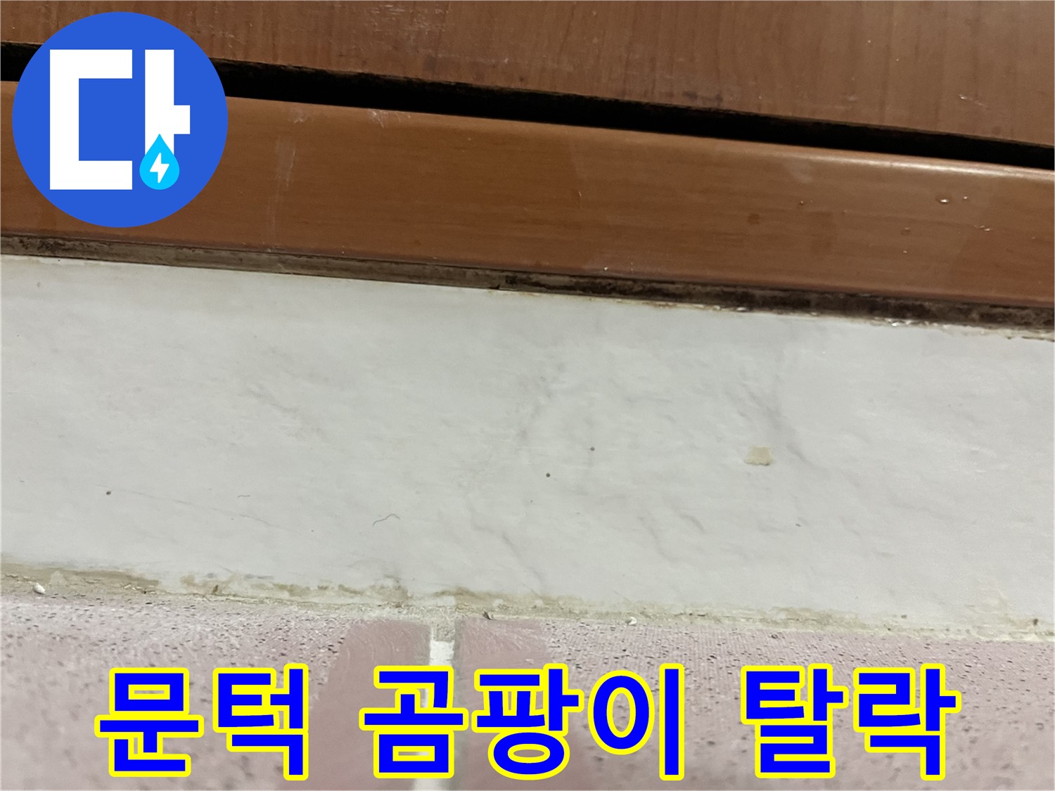 형제맨션빌 누수 - 문턱 아래 타일 틈새 곰팡이와 백시멘트 탈락