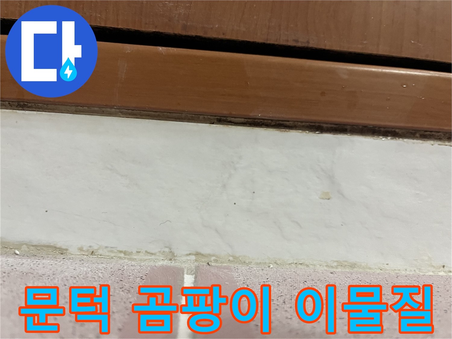 형제맨션빌 누수 - 문턱 아래 타일 틈새 곰팡이와 이물질