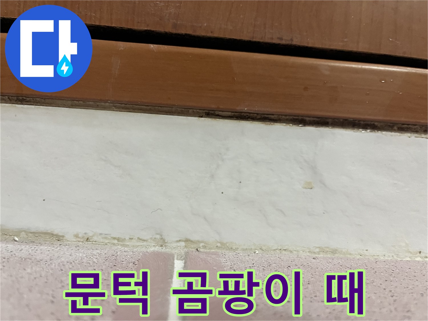 형제맨션빌 누수 - 문턱 주변 타일 틈새 곰팡이와 찌든 때