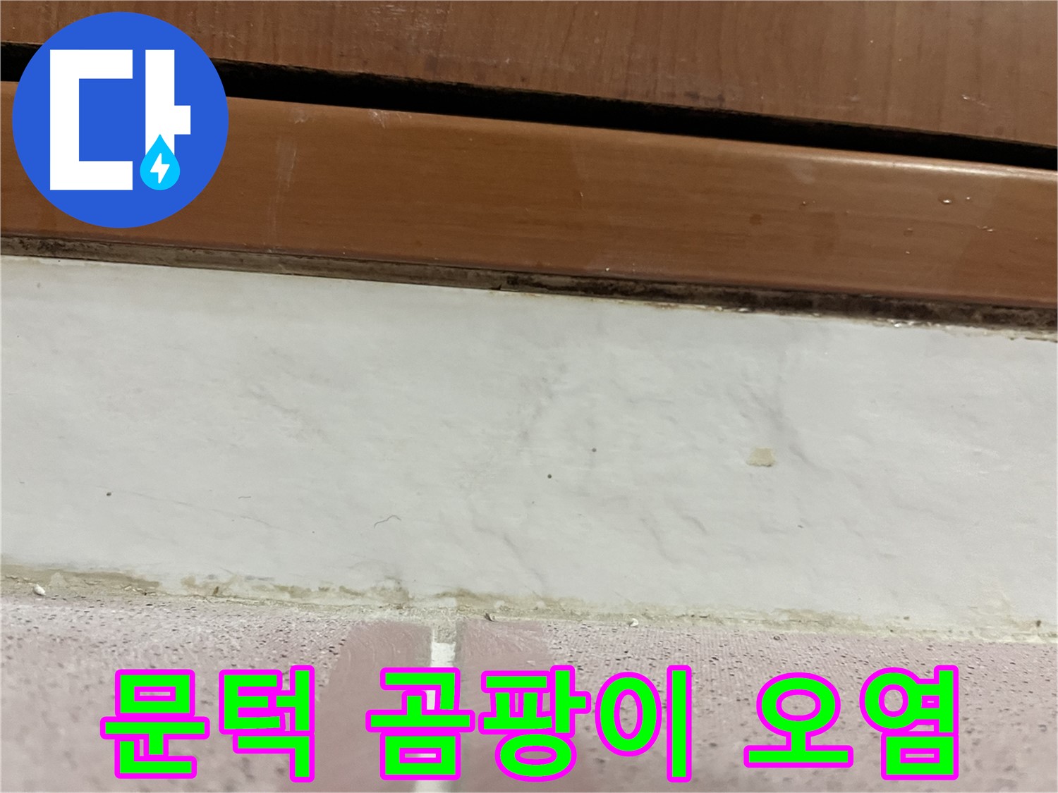 형제맨션빌 누수 - 문턱 하단 타일 틈새 곰팡이와 백시멘트 오염