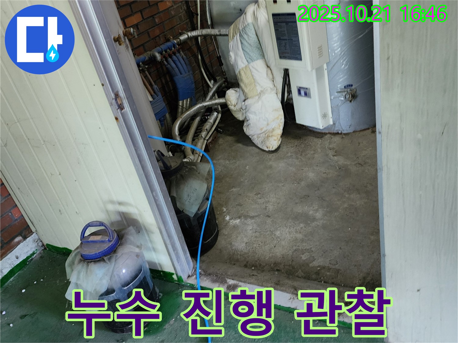 양주시 장흥면 보일러 누수 현장 - 폐수통 설치 후, 누수 진행 상황을 면밀하게 관찰하며 원인을 분석하고 있습니다.