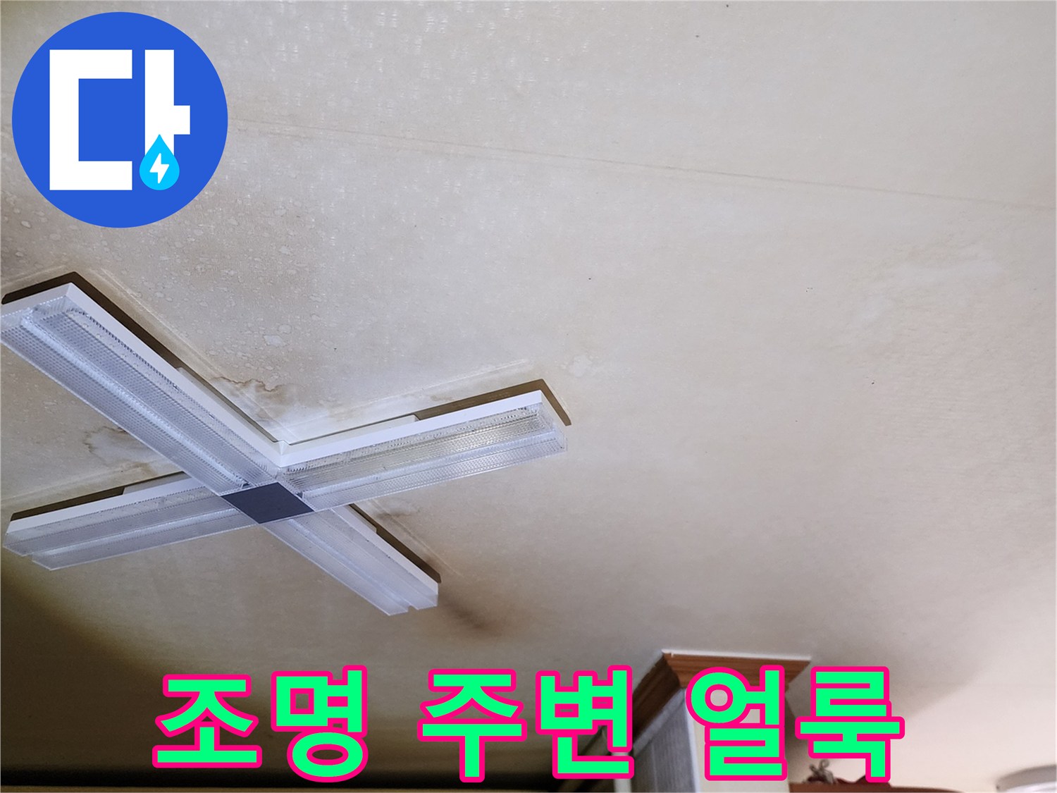 천장 조명 기구 근처의 물자국과 변색된 부분