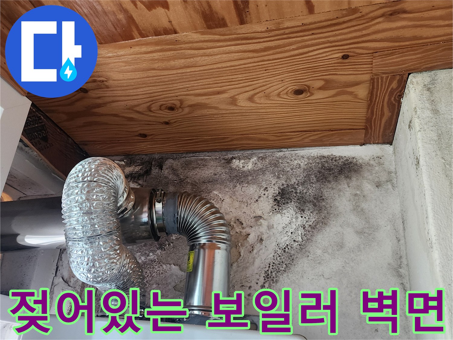 물기에 젖어 변색된 천장과 곰팡이 핀 벽면