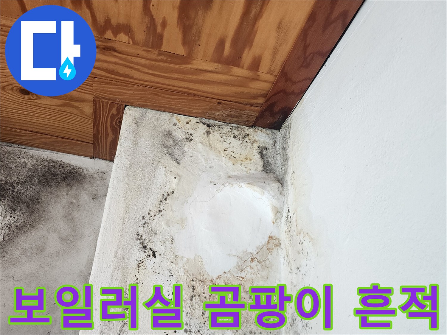보일러실-벽면-곰팡이와-천장-목재-변색-상태