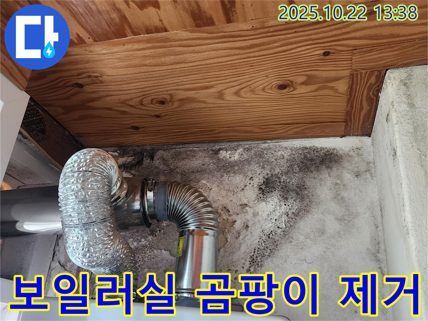 보일러실 벽면의 검은 곰팡이 - 누수로 인해 발생한 곰팡이 문제를 보여줍니다. 곰팡이 제거와 누수 해결이 시급합니다.