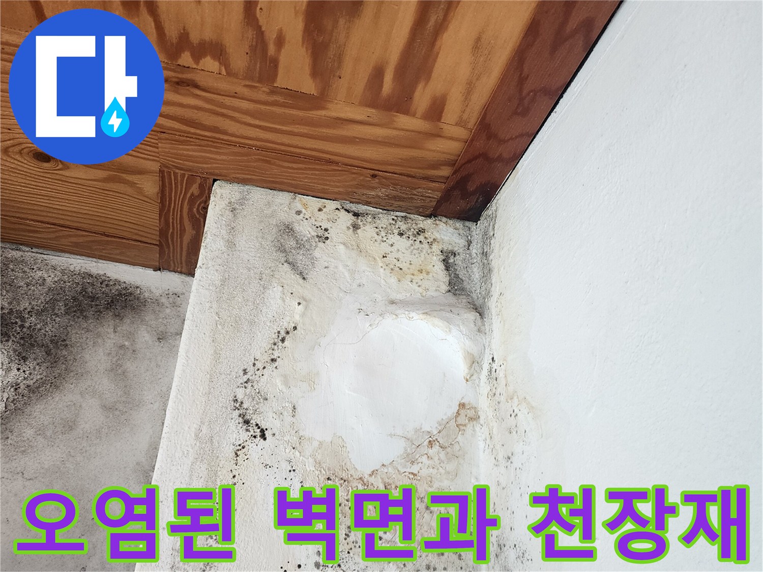 보일러실-벽체-및-천장-목재-곰팡이-오염도