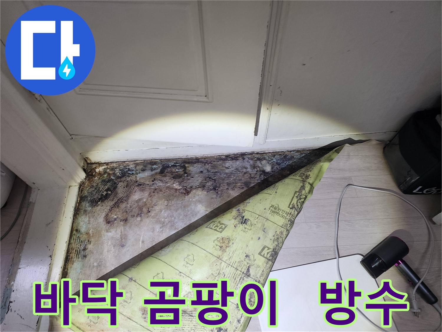 누수 원인 - 화장실 방수층 손상으로 인한 바닥 곰팡이