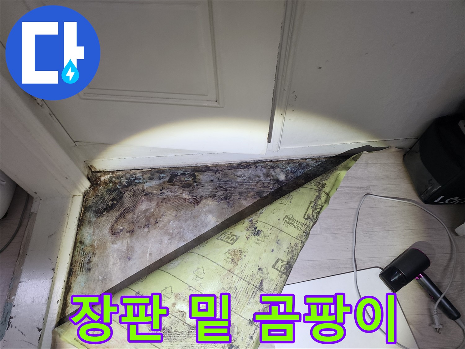 양재동 현대빌라 누수 - 장판 밑 곰팡이와 습기로 심각한 상태