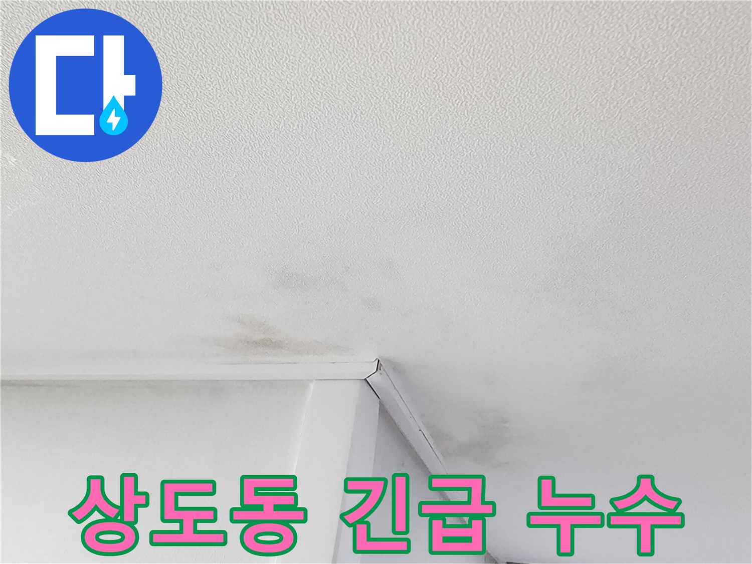 동작구 누수 현장 - 천장 누수 및 곰팡이 발생으로 긴급 점검 필요