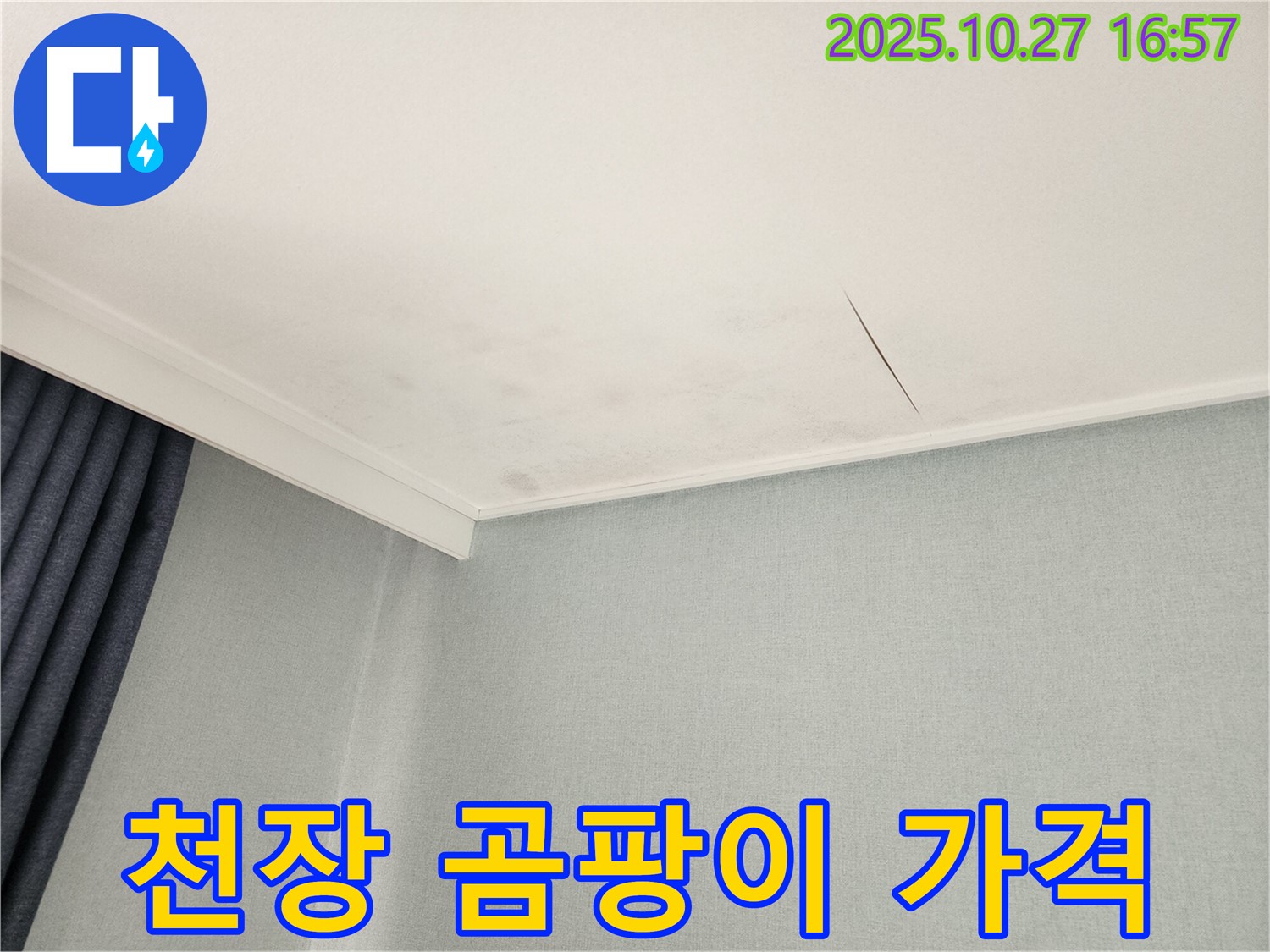 동작구 만양로 천장 누수 - 합리적인 가격으로 곰팡이 문제 해결