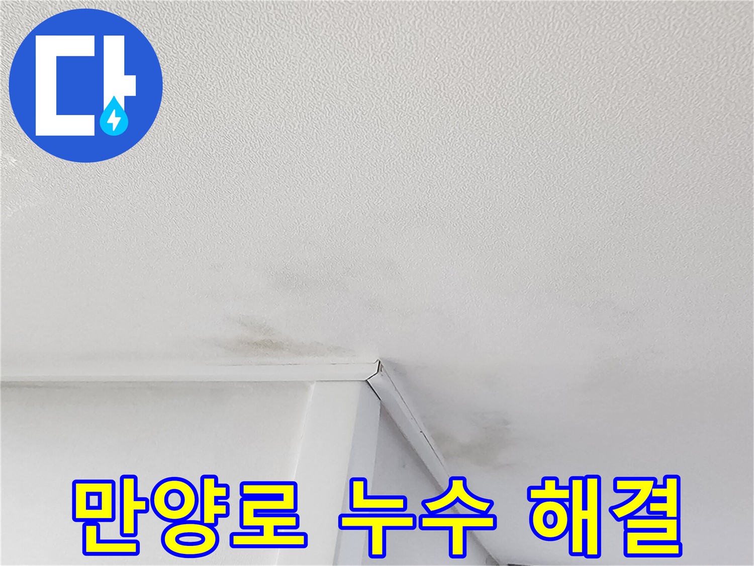 천장 곰팡이 고민 해결 - 누수 탐지부터 방지 시공까지