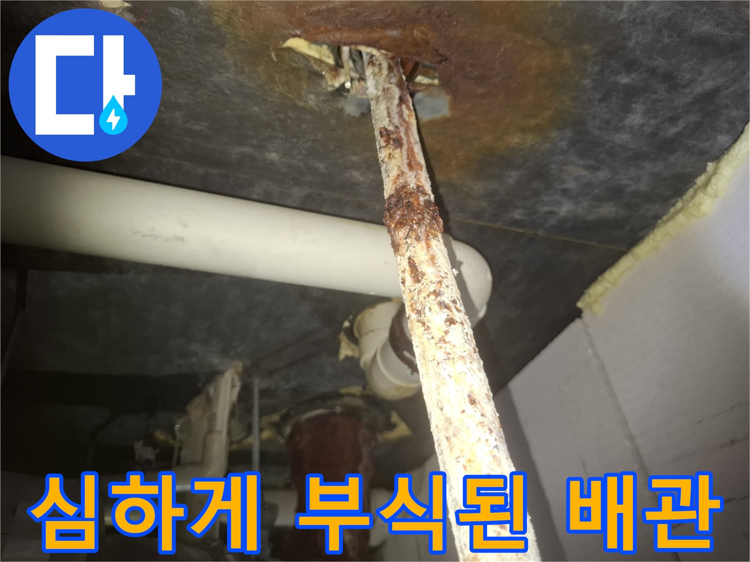 수원 신풍동 누수 현장에서 심하게 부식된 배관이 누수의 원인임을 보여줍니다 - 부식된 배관은 즉시 교체가 필요합니다.