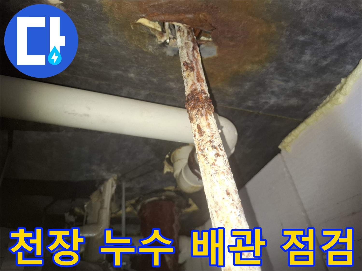 수원 팔달구 누수 현장에서 천장 누수 발생 시 배관 점검의 중요성을 강조하고 있습니다 - 꼼꼼한 배관 점검으로 누수 원인을 파악합니다.