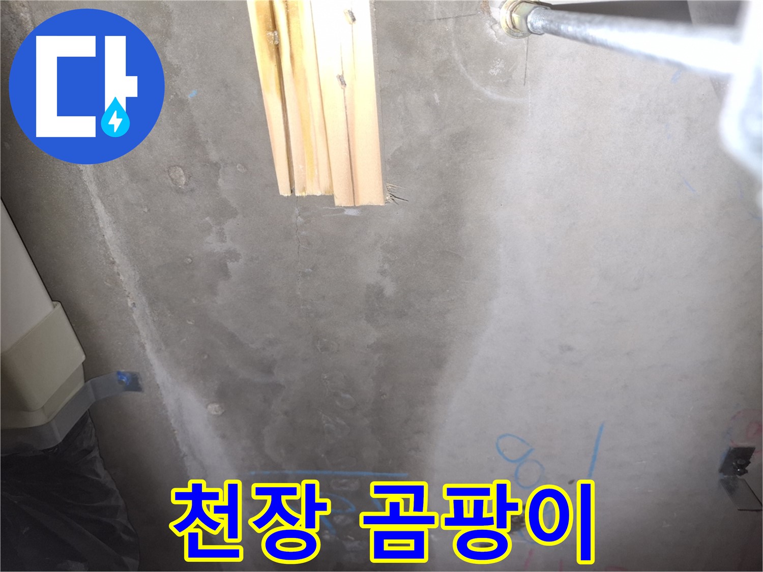 콘크리트 천장 누수 - 곰팡이