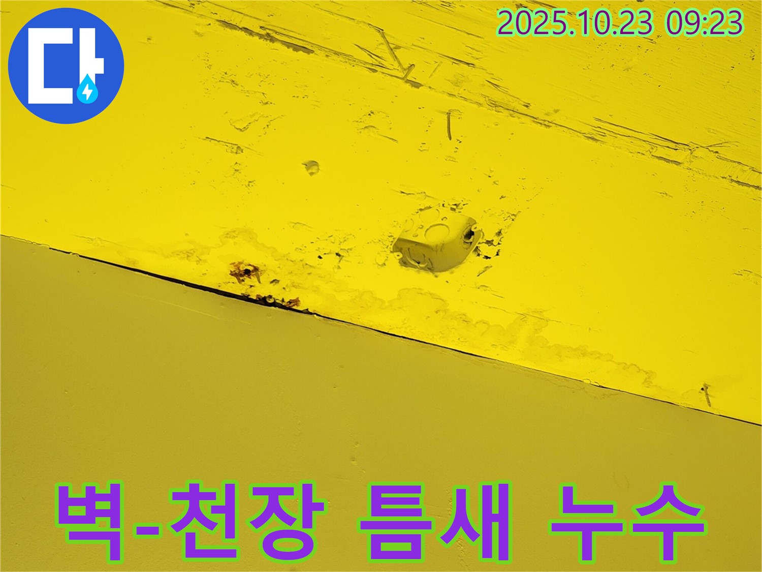도하리 주택 천장 누수 - 벽과 천장 사이 틈새에서 누수 의심