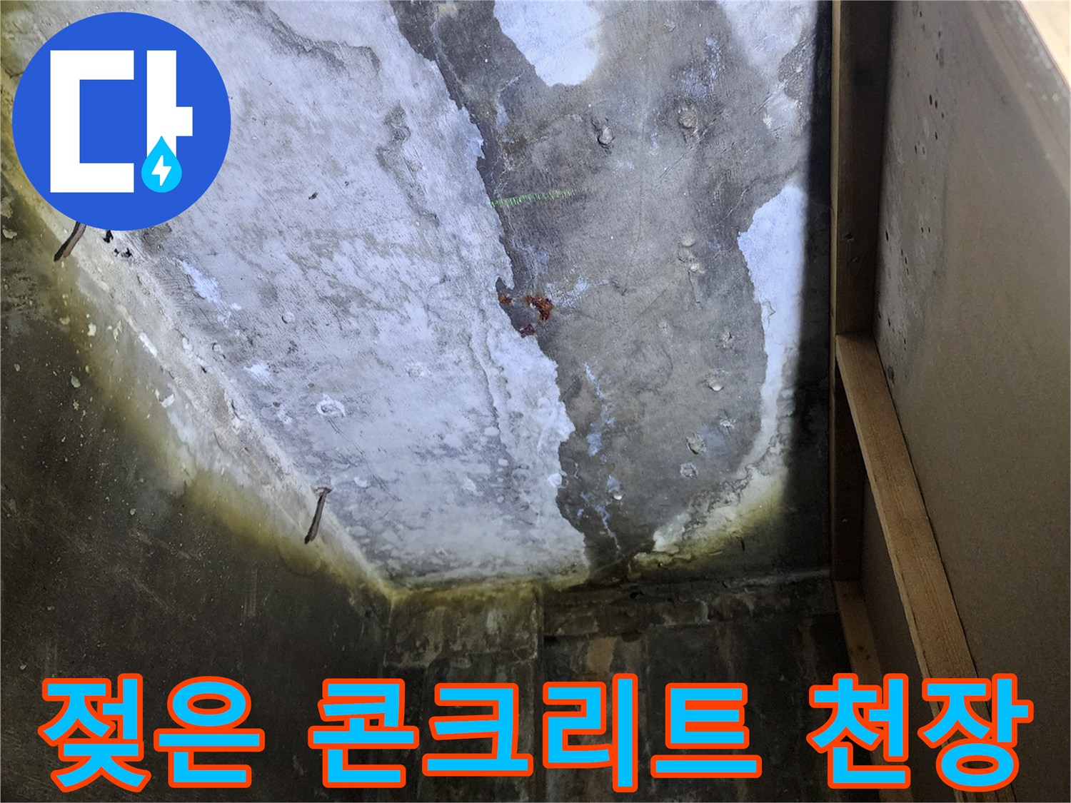 상가 건물 내부-천장 콘크리트 슬래브의 습기 및 변색 상태